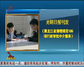 黑龍江省清理規(guī)范186項行政審批中介服務(wù)，提升政務(wù)服務(wù)效能