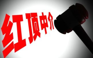 藍頂中介超市 高效服務助力市場主體少跑腿、多辦事、快辦事