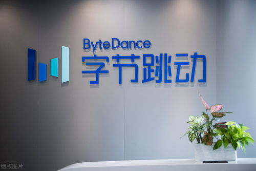 小米朱萌加盟字節(jié)穿山甲，擔(dān)任中介服務(wù)負(fù)責(zé)人